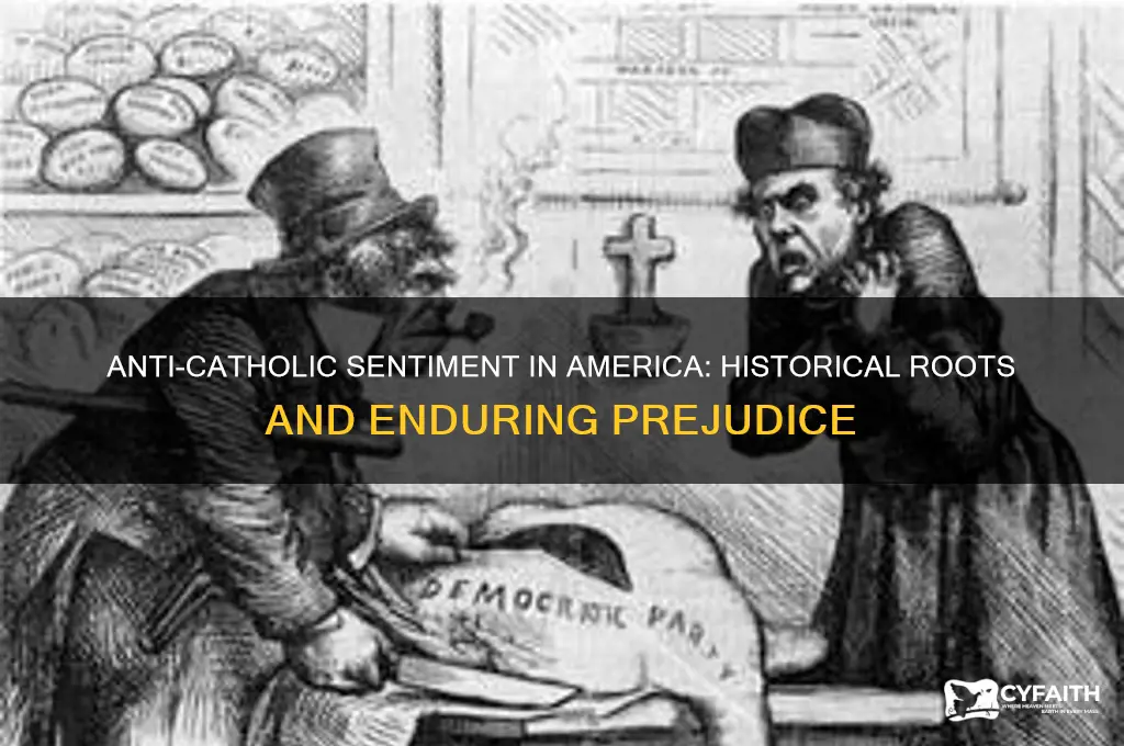 why were catholics hated in the us