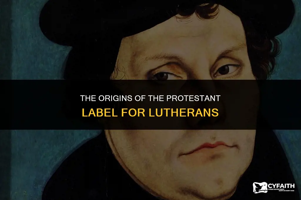 why were lutherans called protestant