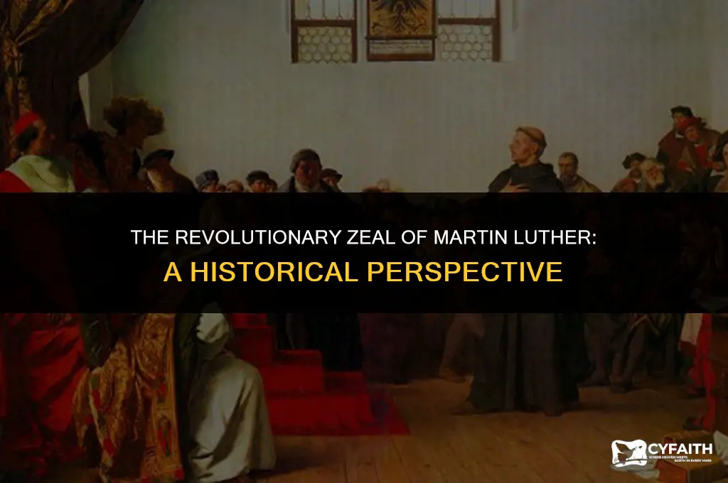 why were martin luthers ideas so radical