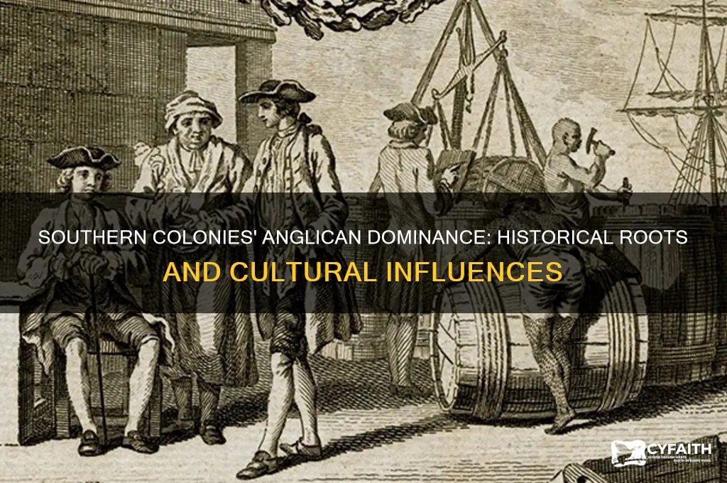 why were most of the southern colonies anglican