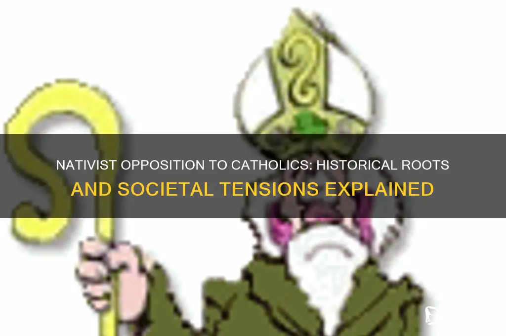 why were nativists were opposed to catholics because