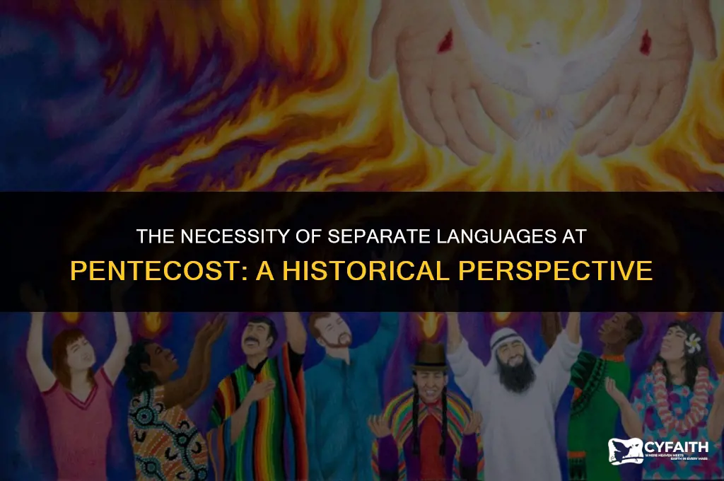 why were separate clearly understood languages necessary on the pentecost
