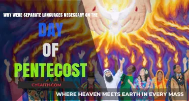 Divine Diversity: The Significance of Separate Languages at Pentecost