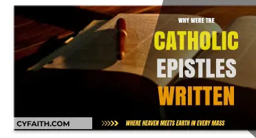 Understanding the Purpose and Impact of the Catholic Epistles