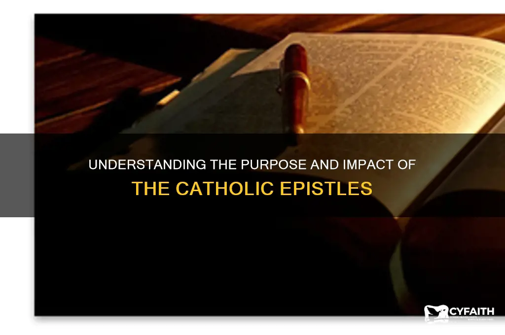 why were the catholic epistles written