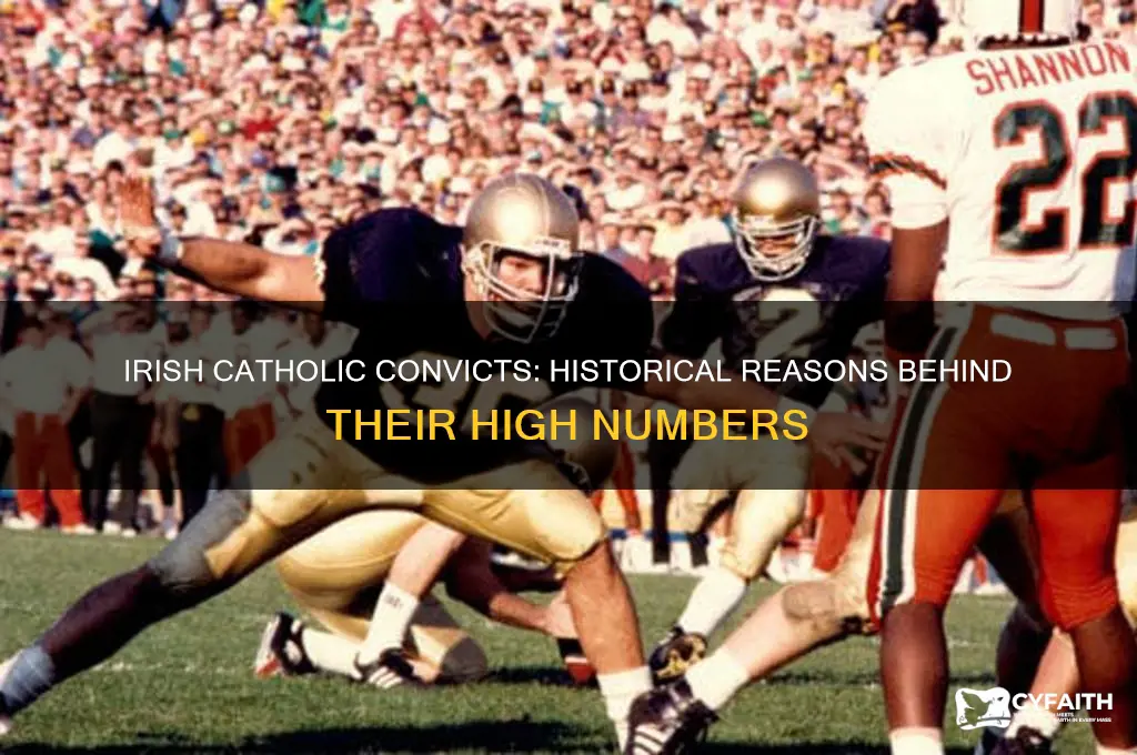 why were there alot of irish catholic convicts