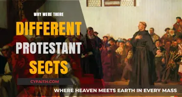 The Reformation's Legacy: Understanding the Birth of Protestant Sects
