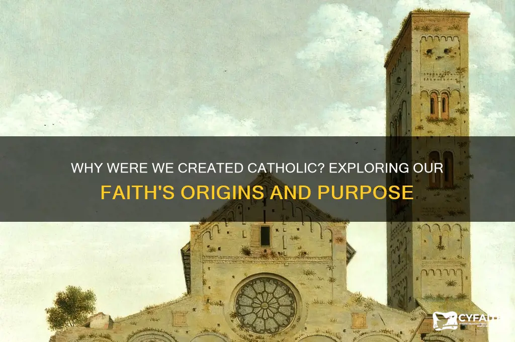 why were we created catholic
