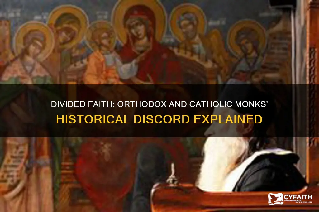 why werent chrisitan orthodox and catholic monks not getting along