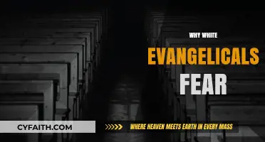 Understanding the Fears: A Deep Dive into White Evangelical Concerns