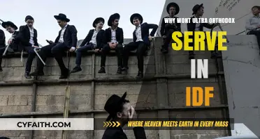 Why Ultra-Orthodox Jews Resist Serving in the IDF: Explained