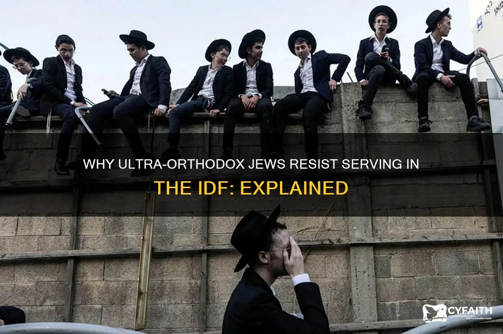why wont ultra orthodox serve in idf