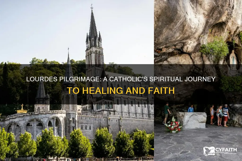 why would a catholic go on pilgrimage to lourdes
