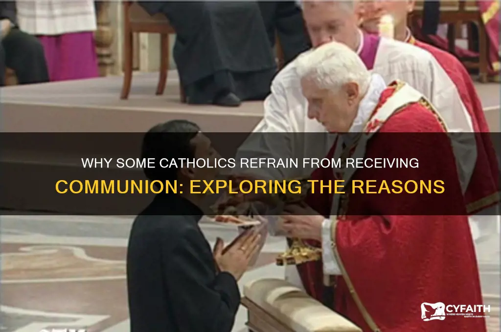 why would a catholic not take communion