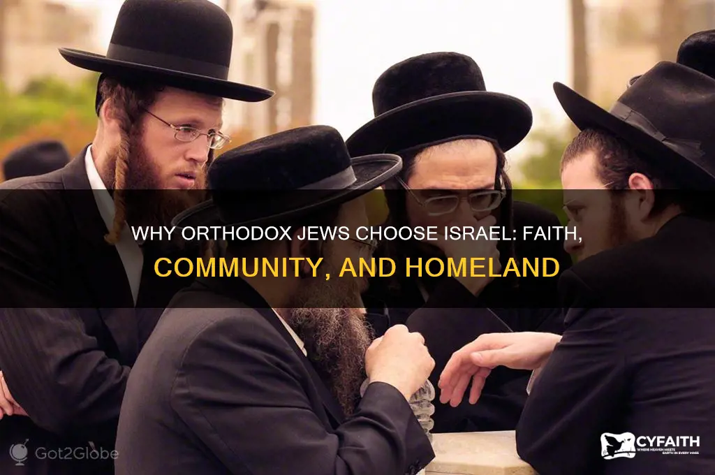 why would an orthodox jew live in israel