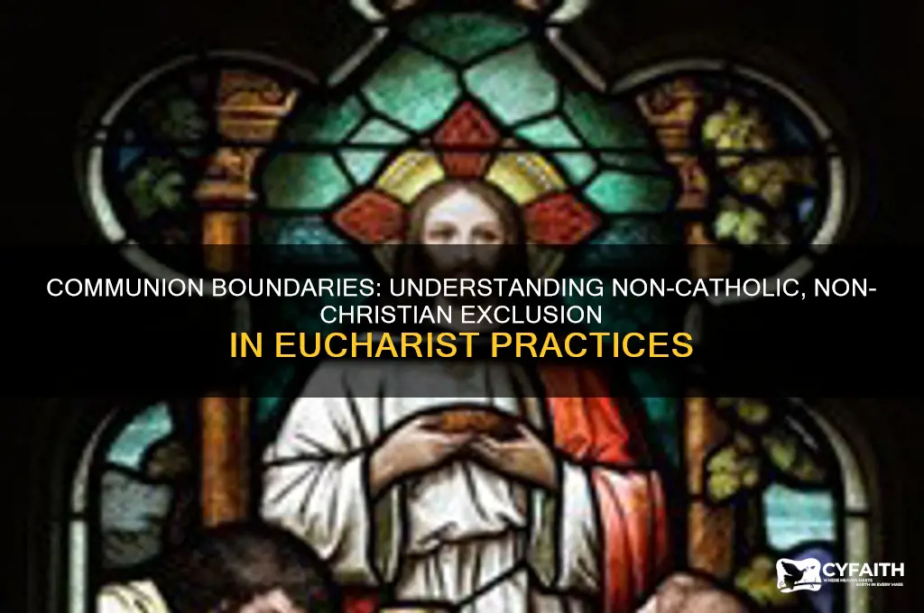 why would non-catholics and non-christians cannot accept communion