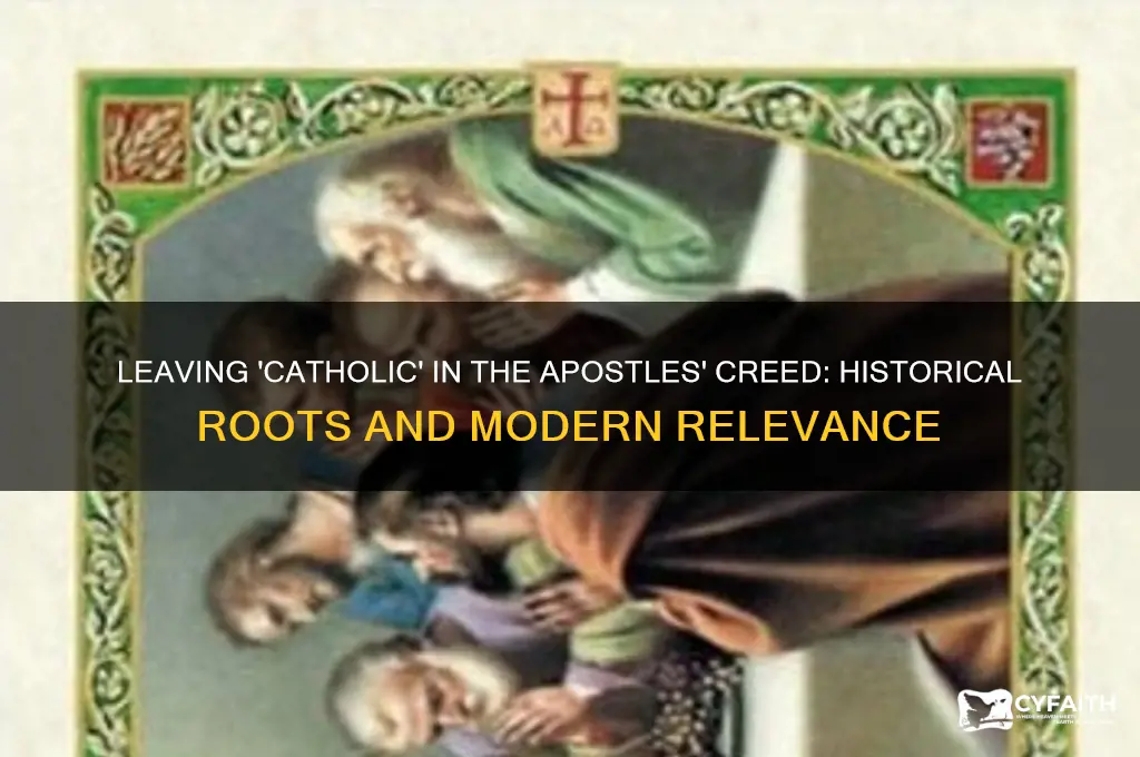 why would we leave the catholic in the apostles creed