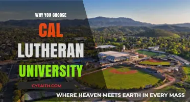 Why Cal Lutheran University Stands Out: A Student's Perspective
