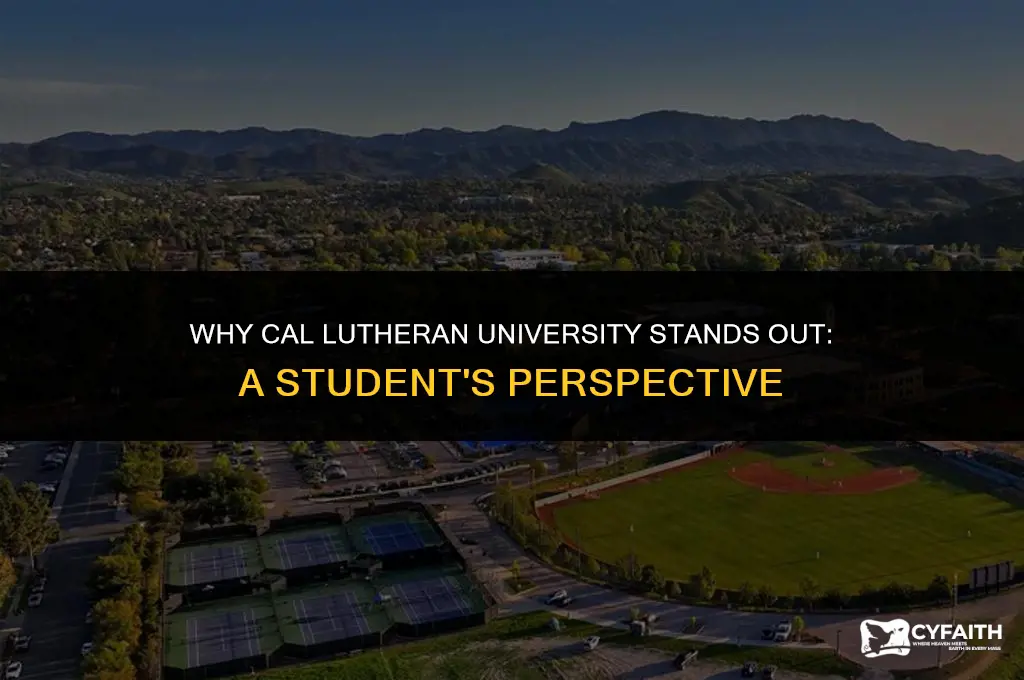 why you choose cal lutheran university
