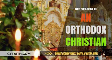 Embrace Orthodoxy: Discovering Timeless Faith, Rich Tradition, and True Spirituality