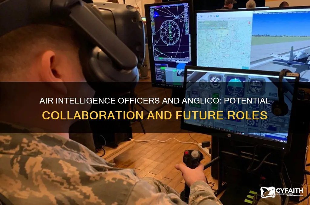 will air intelligence officers work with anglico
