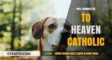 Do Animals Go to Heaven in Catholic Teaching?
