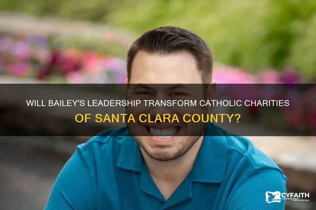 will bailey company catholic charities of santa clara county