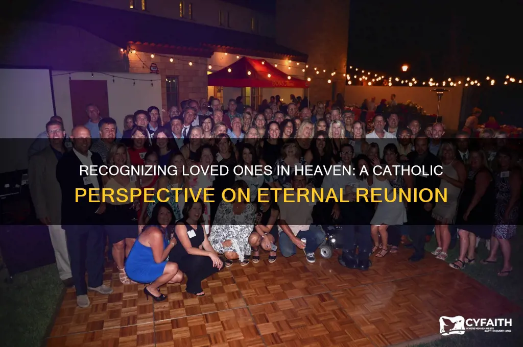 will be be able to recognize in heaven catholic