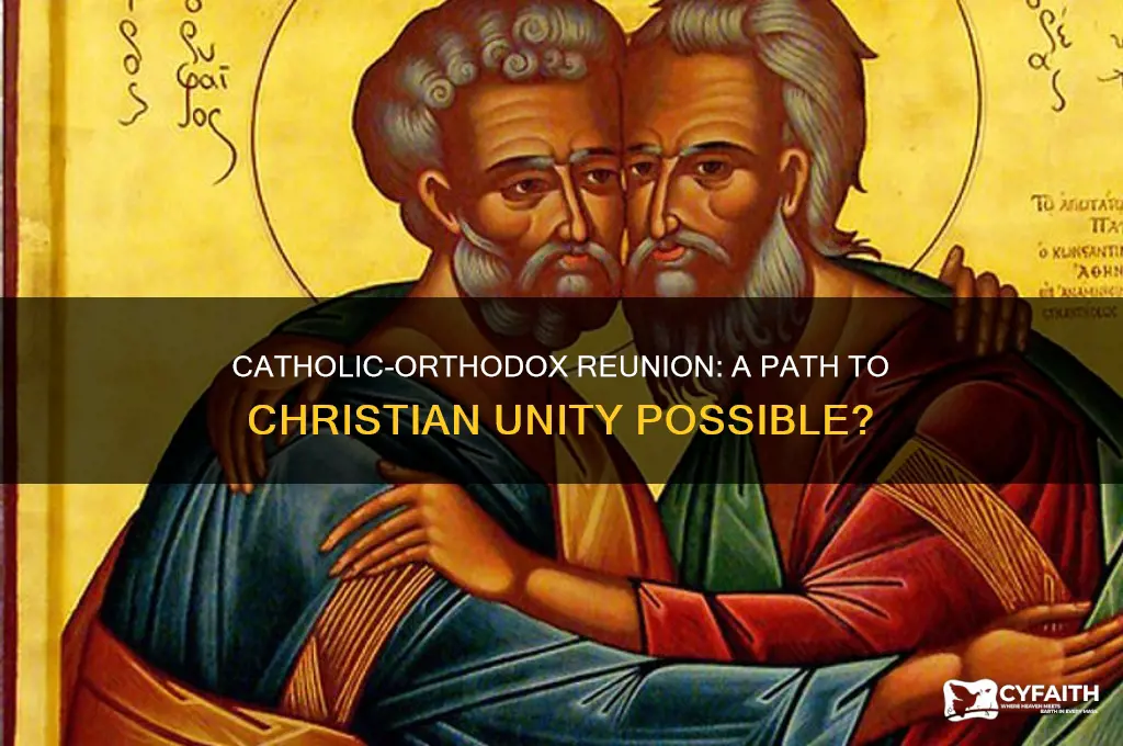 will catholic and orthodox churches reunite