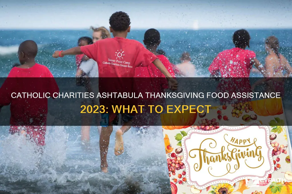 will catholic charities in ashtabula have thanksgiving food this year