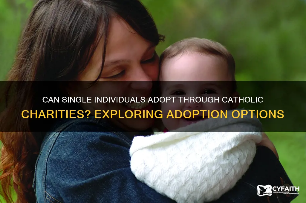 will catholic charities let single people adopt