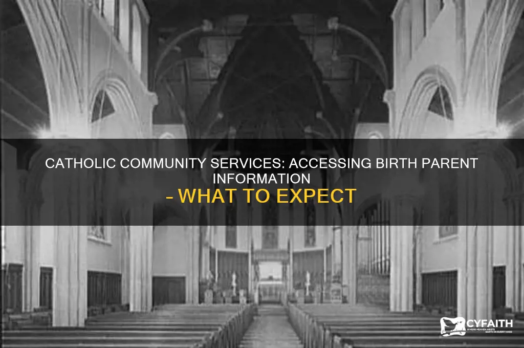 will catholic community services tell me my birth parents information