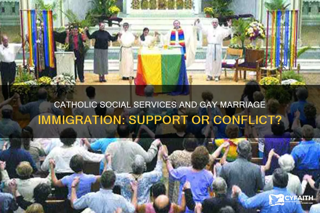 will catholic social services help with gay marriage immigration