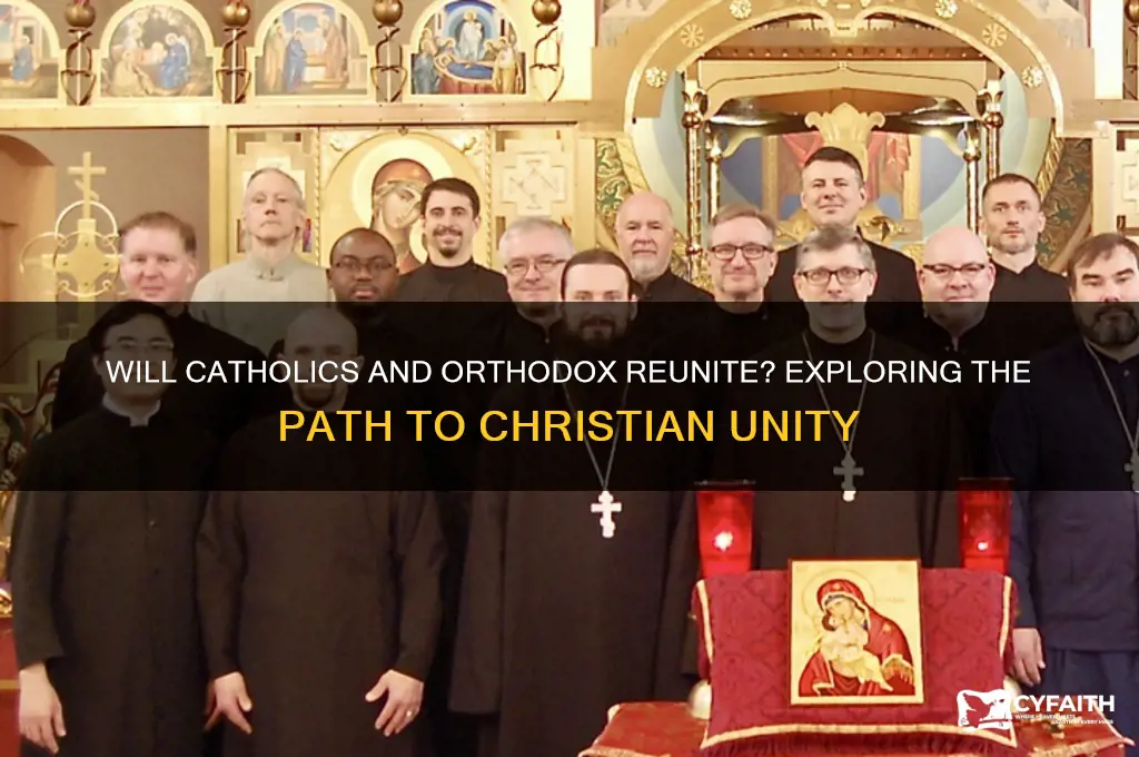 will catholics and orthodox reunite