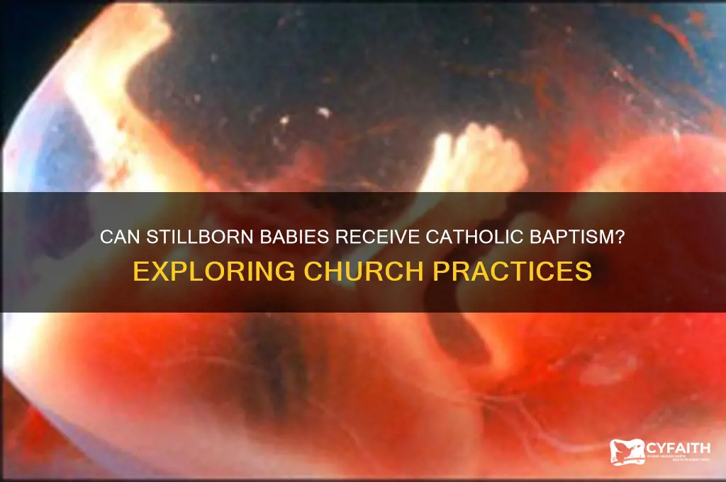 will catholics baptize a stillborn baby