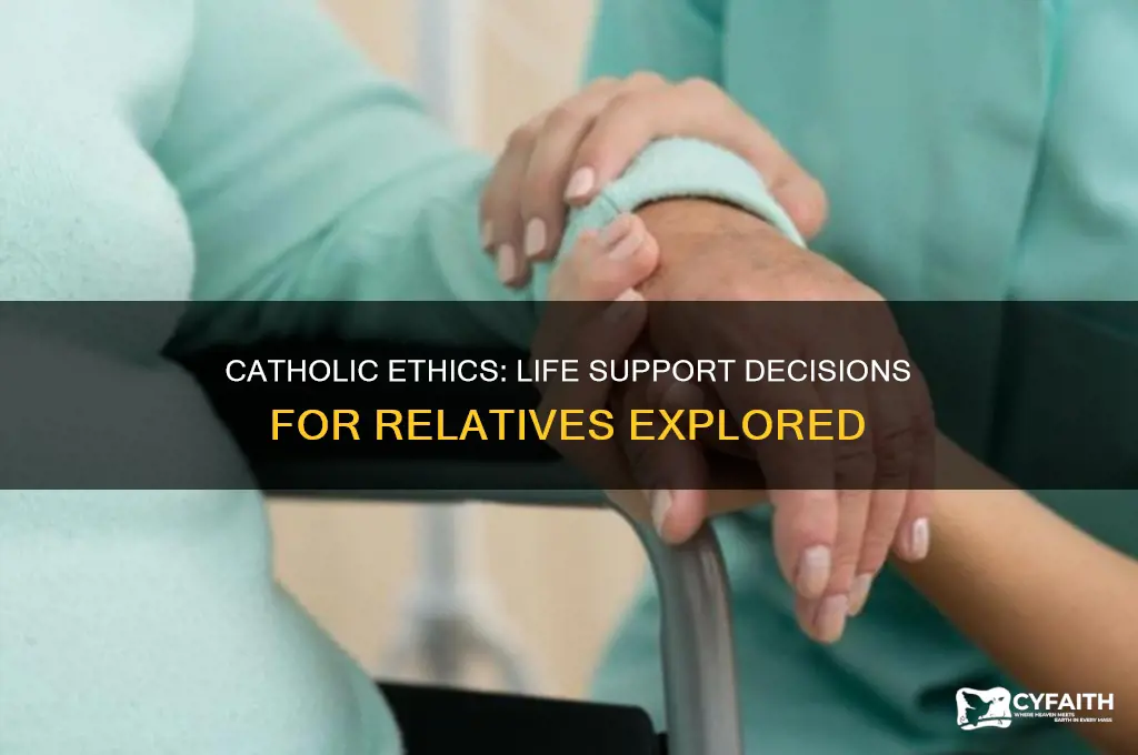 will catholics take a relative off life support