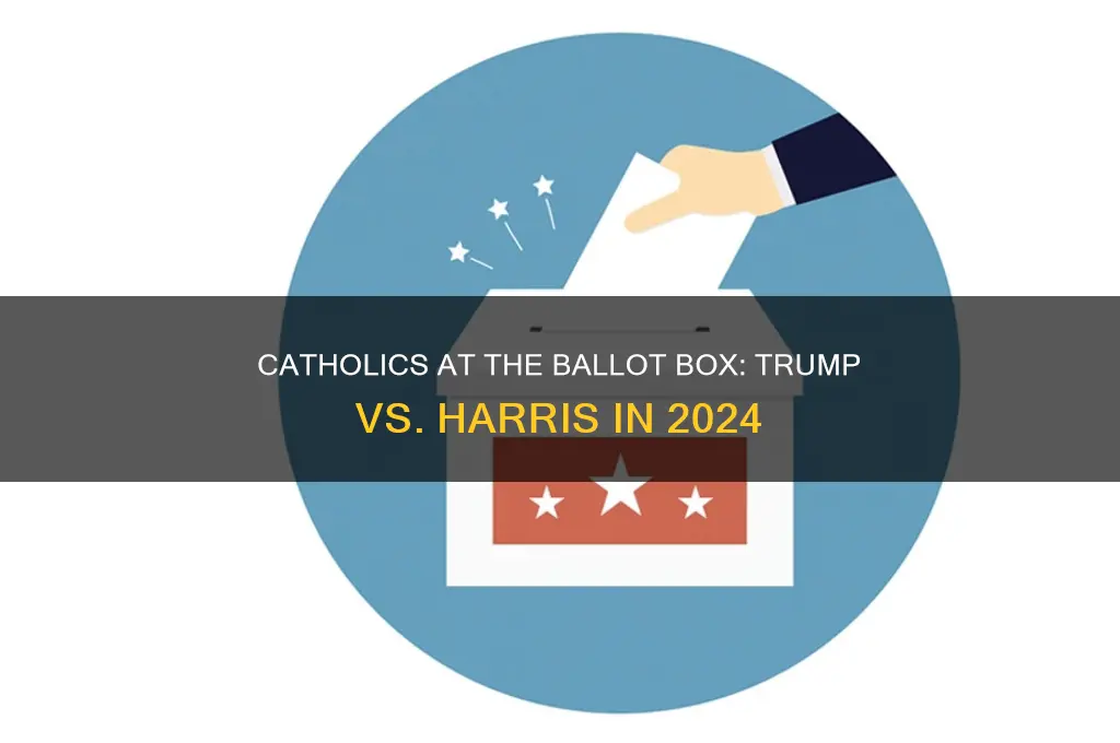 will catholics vote for trump or harris