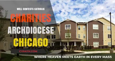 Catholic Charities Archdiocese Chicago: Will Contests and Estate Planning Insights