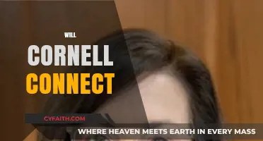 Will Cornell Connect Revolutionize Networking for Students and Alumni?