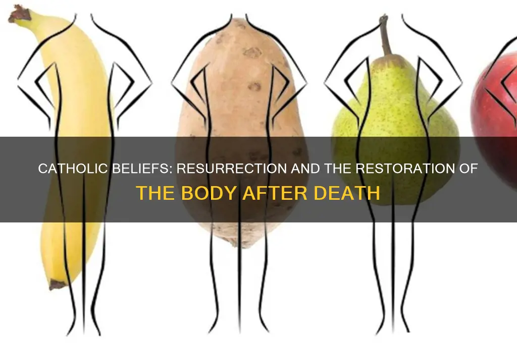 will i get my body back after death catholic
