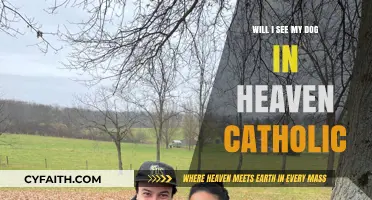 Will My Faithful Dog Be in Heaven According to Catholic Beliefs?