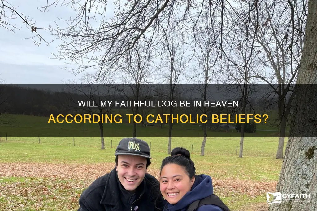 will i see my dog in heaven catholic