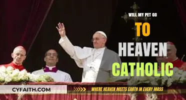 Do Pets Go to Heaven in Catholic Teaching?
