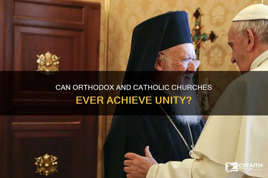 will orthodox and catholic ever unite