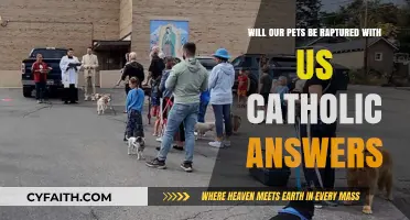 Will Our Pets Be Raptured with Us? Catholic Answers Explained