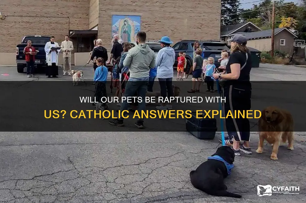 will our pets be raptured with us catholic answers