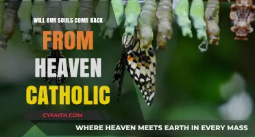 Catholic Beliefs: Do Souls Return from Heaven to Earth?
