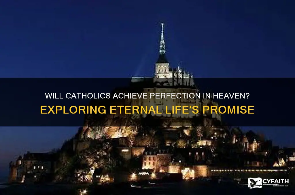 will people be perfect in heaven catholic