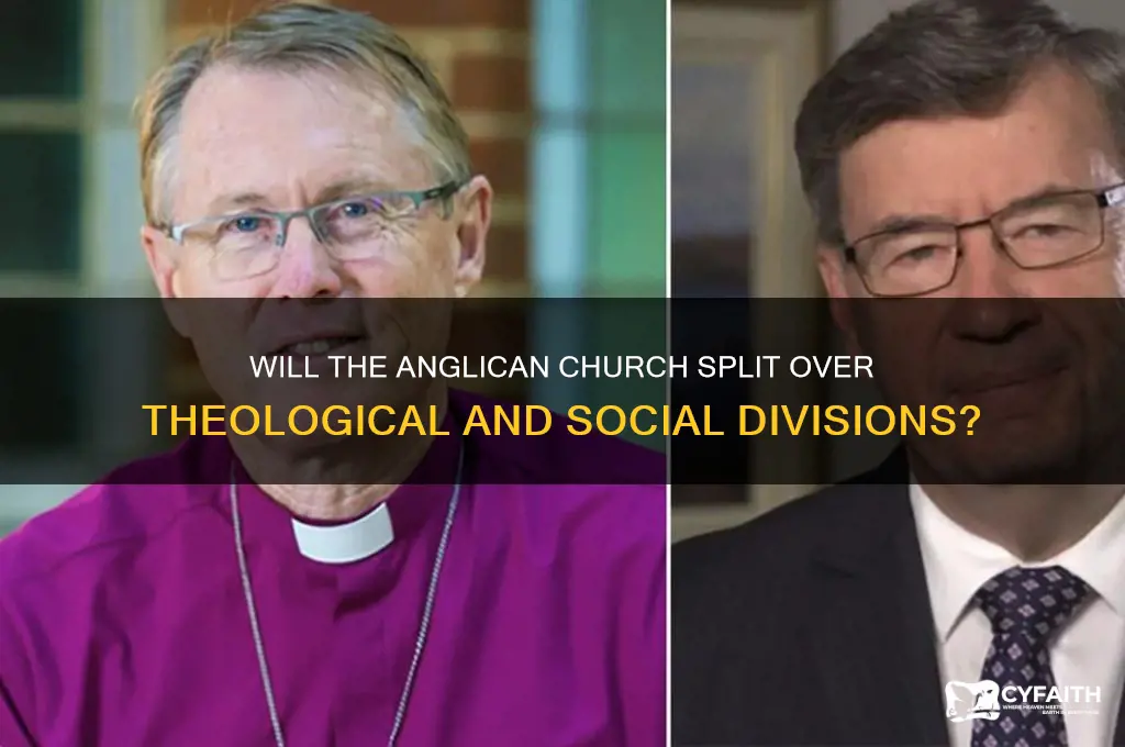 will the anglican church split