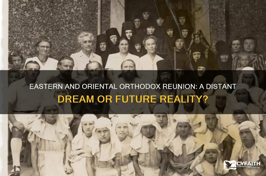 will the eastern and oriental orthodox ever reunite